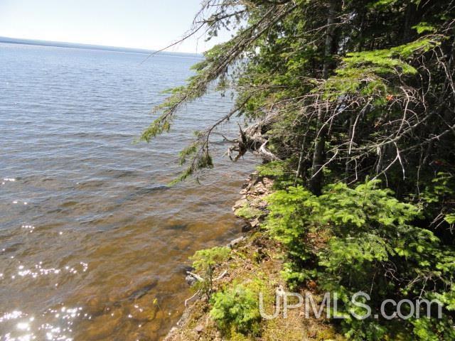 Tbd Puuri Road Baraga, MI 49908 - Photo 4 of 20