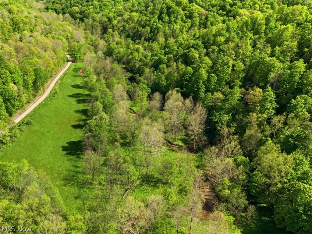 0 Pratts Run Road Woodsfield, OH 43793 - Photo 18 of 24