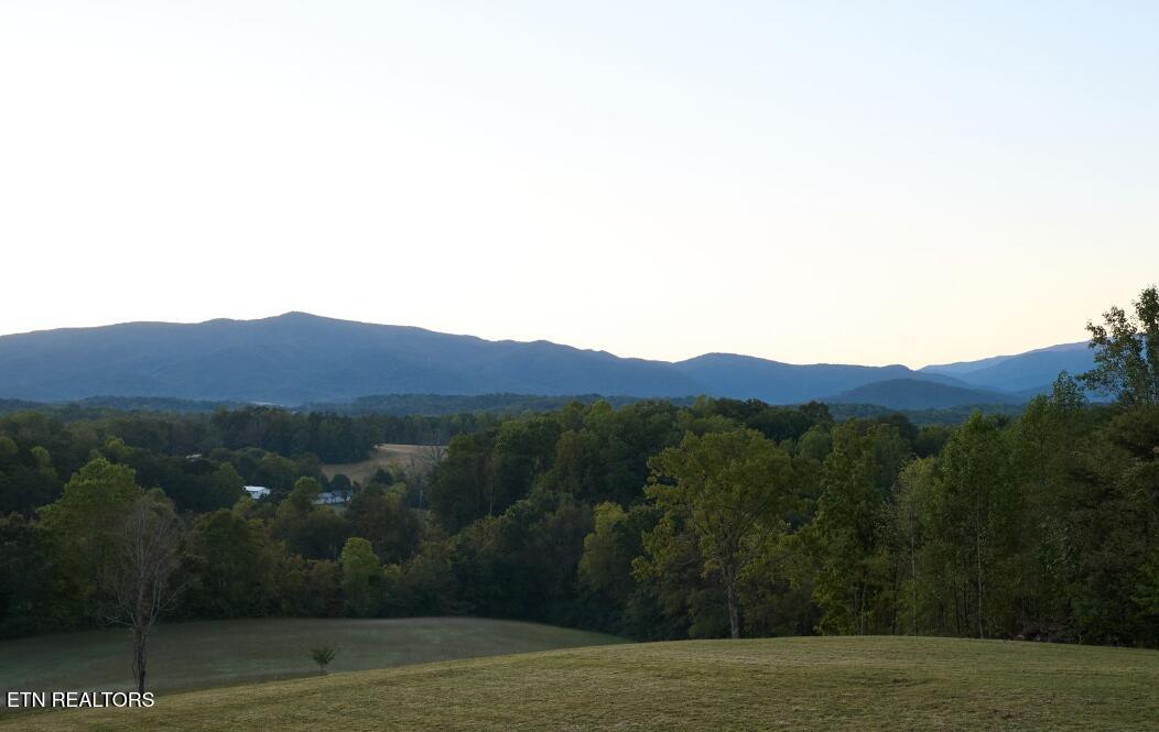 16 Moody Moon Ridge Way Newport, TN 37821 - Photo 14 of 16 Screenshot 2026-03-13 141621