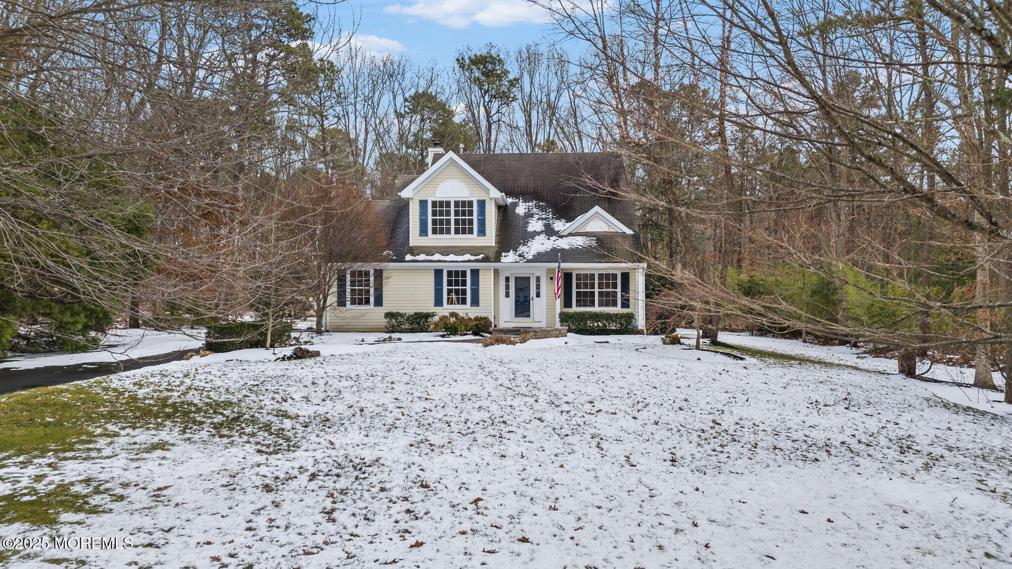 36 Green Tree Drive Jackson, NJ 08527 - Photo 1 of 51 1-web-or-mls-DJI_20250111152401_0003_D_F