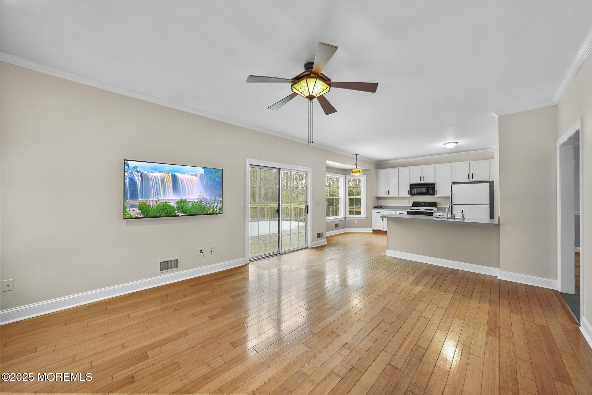 36 Green Tree Drive Jackson, NJ 08527 - Photo 22 of 51 18-web-or-mls-DSC07354