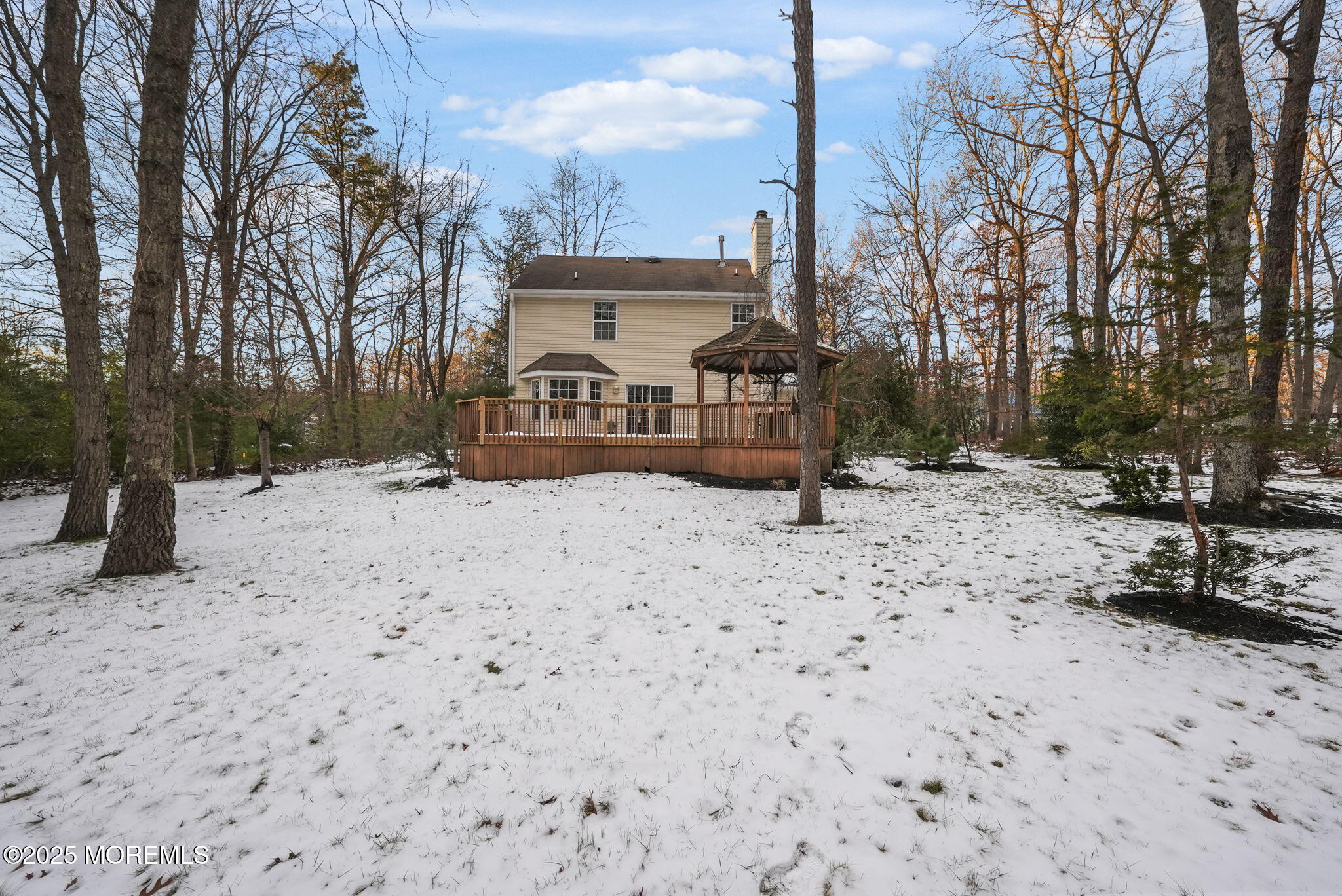 36 Green Tree Drive Jackson, NJ 08527 - Photo 43 of 51 44-web-or-mls-DSC07484