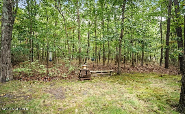 36 Green Tree Drive Jackson, NJ 08527 - Photo 47 of 51 Green Tree_4