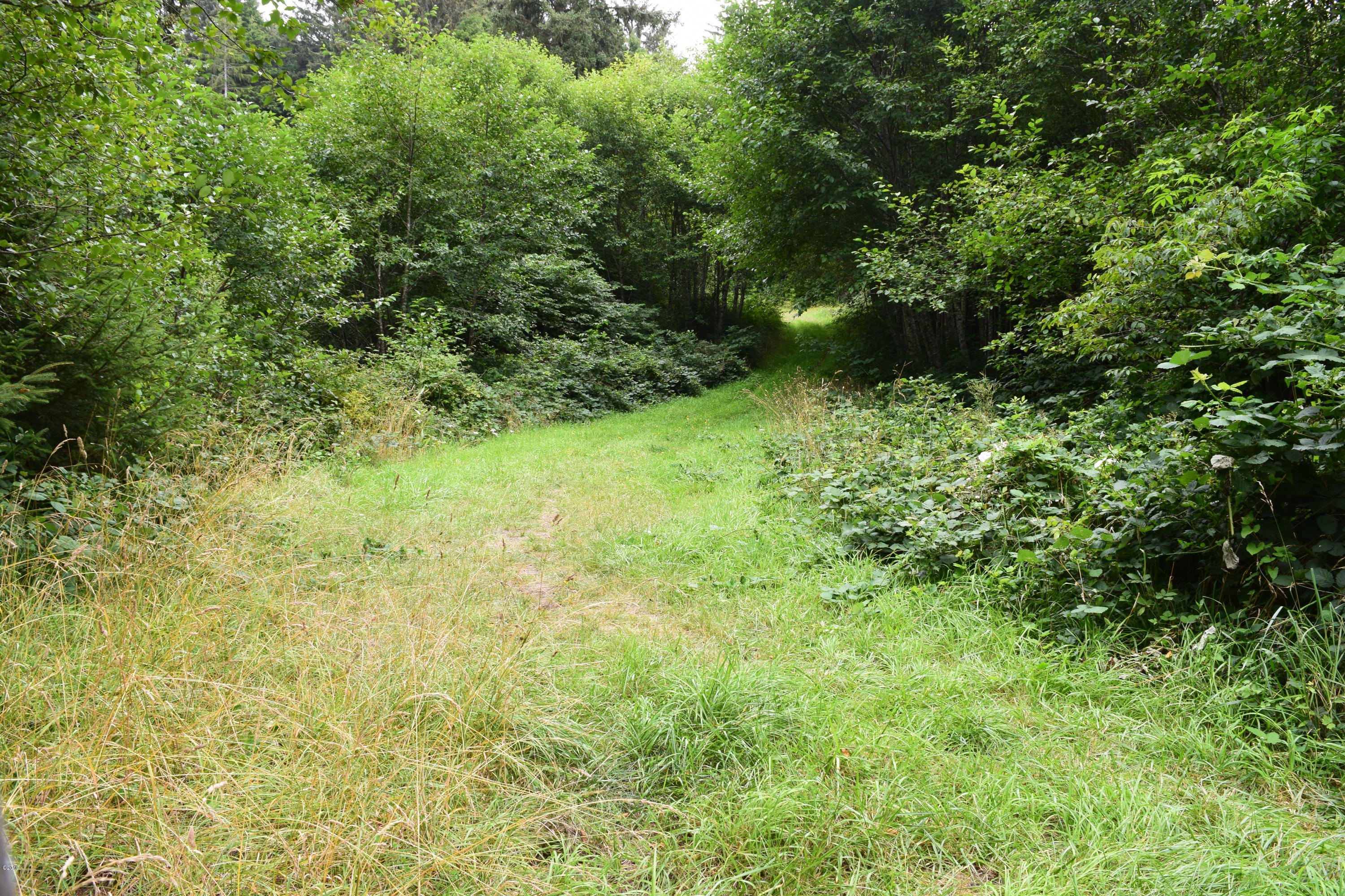 3174 Northeast East Line Road Yachats, OR 97498 - Photo 3 of 12 East Line
