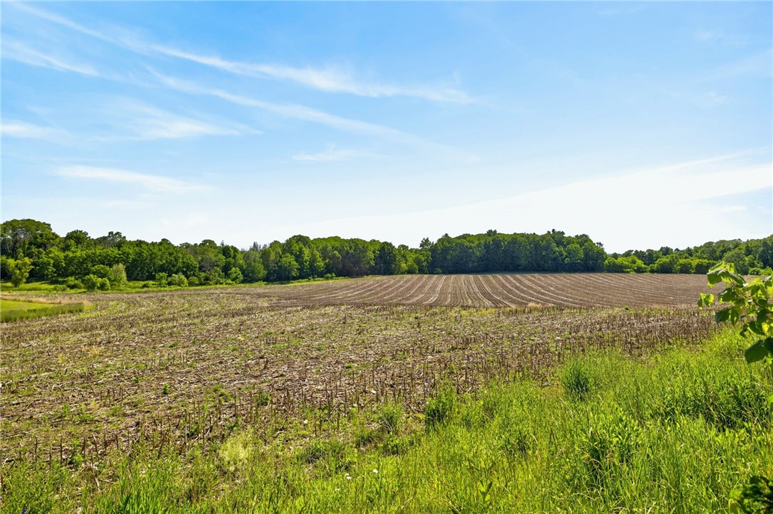 Cramer Road Canandaigua, NY 14424 - Photo 8 of 47