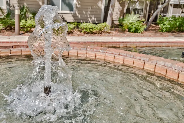 a view of a yard with plants and trees