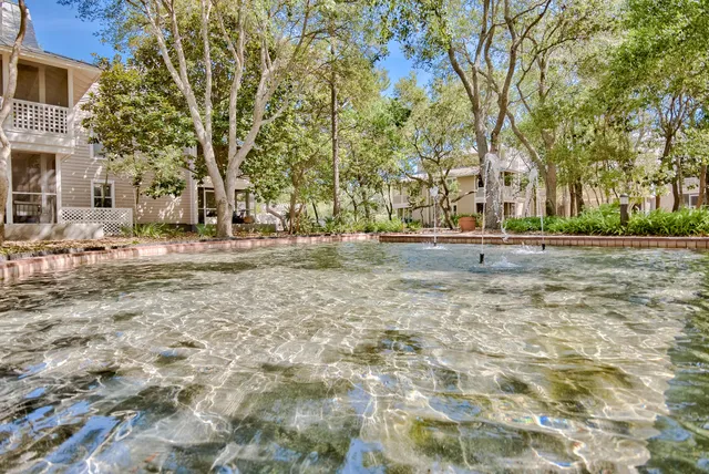 a view of a yard with plants and trees