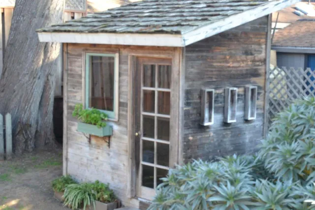 a front view of a house with plants