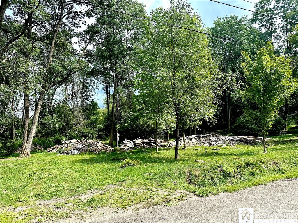 1158 Underwood Road Hinsdale, NY 14743 - Photo 3 of 3