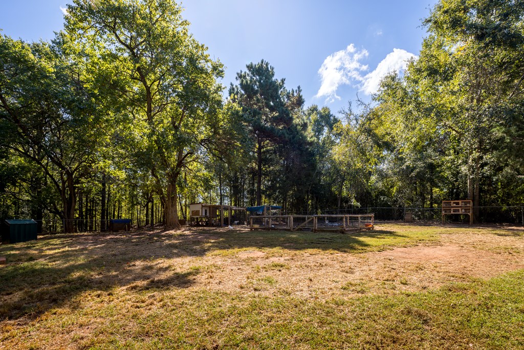 2478 Pine Lake Road West Point, GA 31833 - Photo 11 of 70 Gallery Image 11