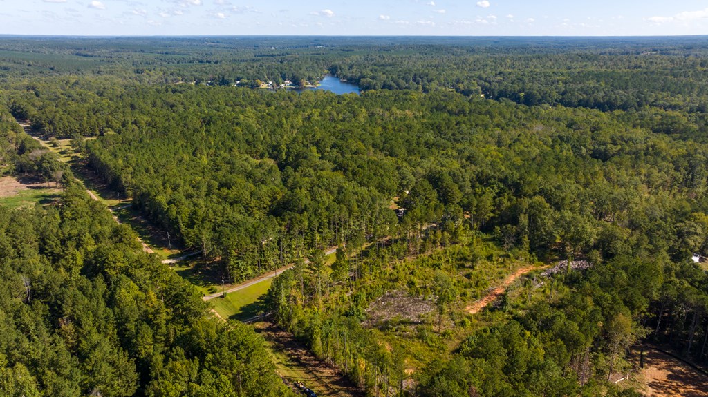2478 Pine Lake Road West Point, GA 31833 - Photo 24 of 70 Gallery Image 24