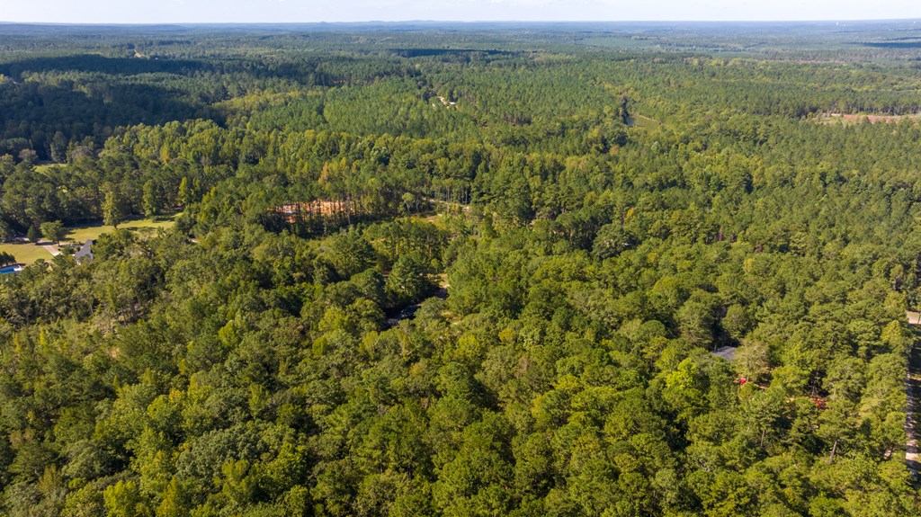 2478 Pine Lake Road West Point, GA 31833 - Photo 30 of 70 Gallery Image 30