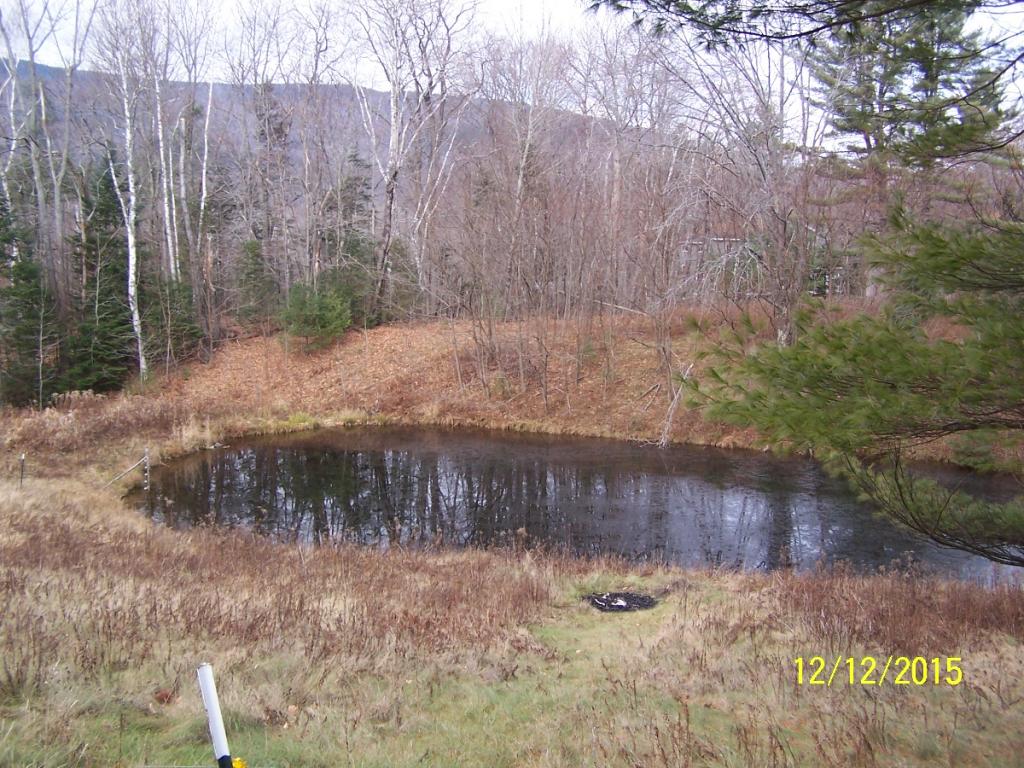 483 Cape Moonshine Road Piermont, NH 03779 - Photo 4 of 17 Gallery Image 4
