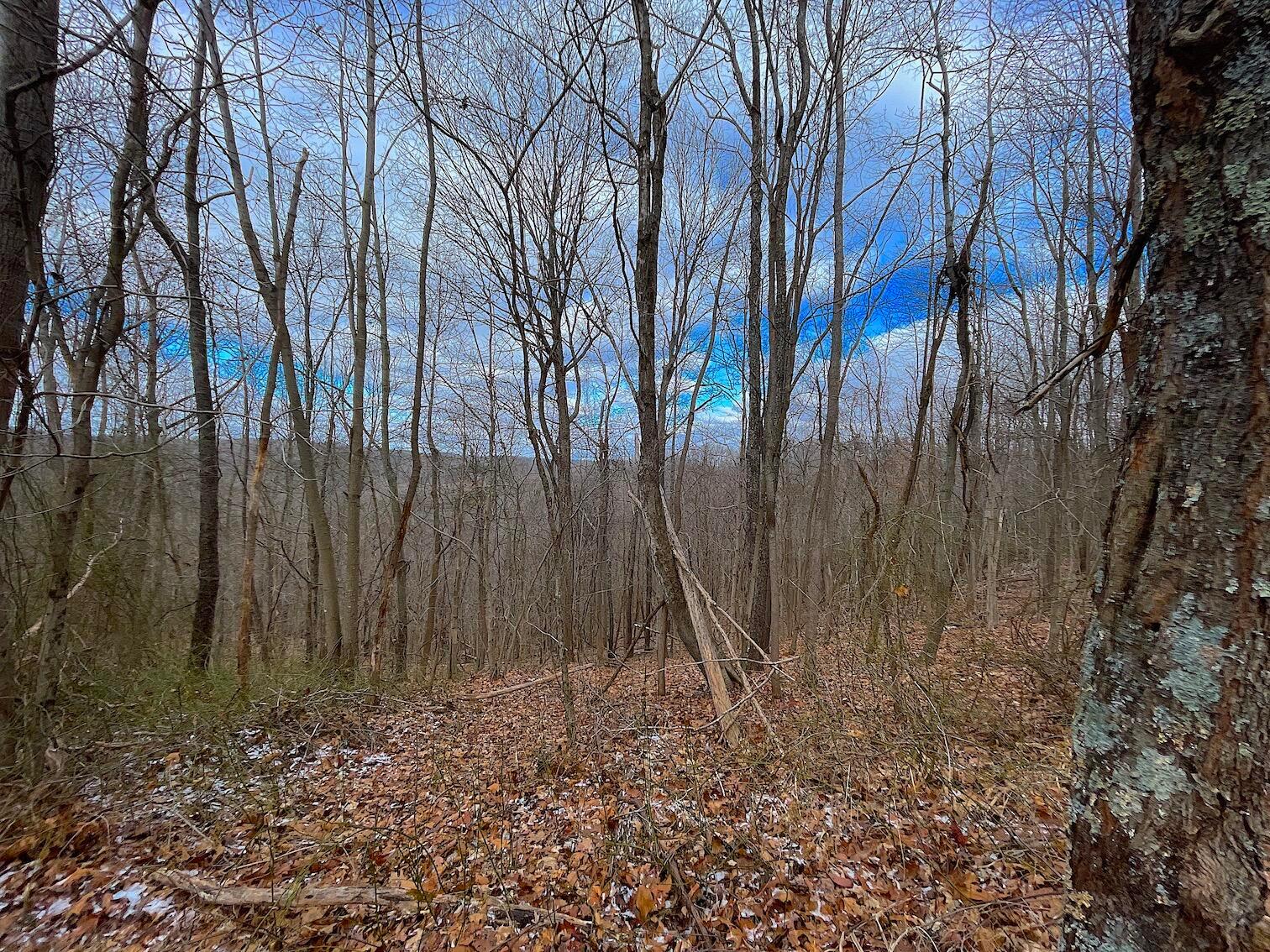 0 Hunting Run Road Lucasville, OH 45648 - Photo 20 of 39 IMG_0552