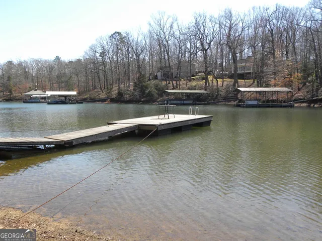 a view of a lake with trees in the background
