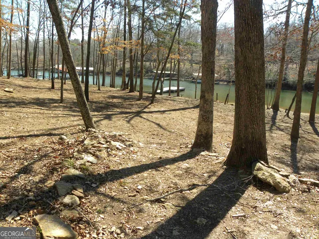a view of a backyard of the house