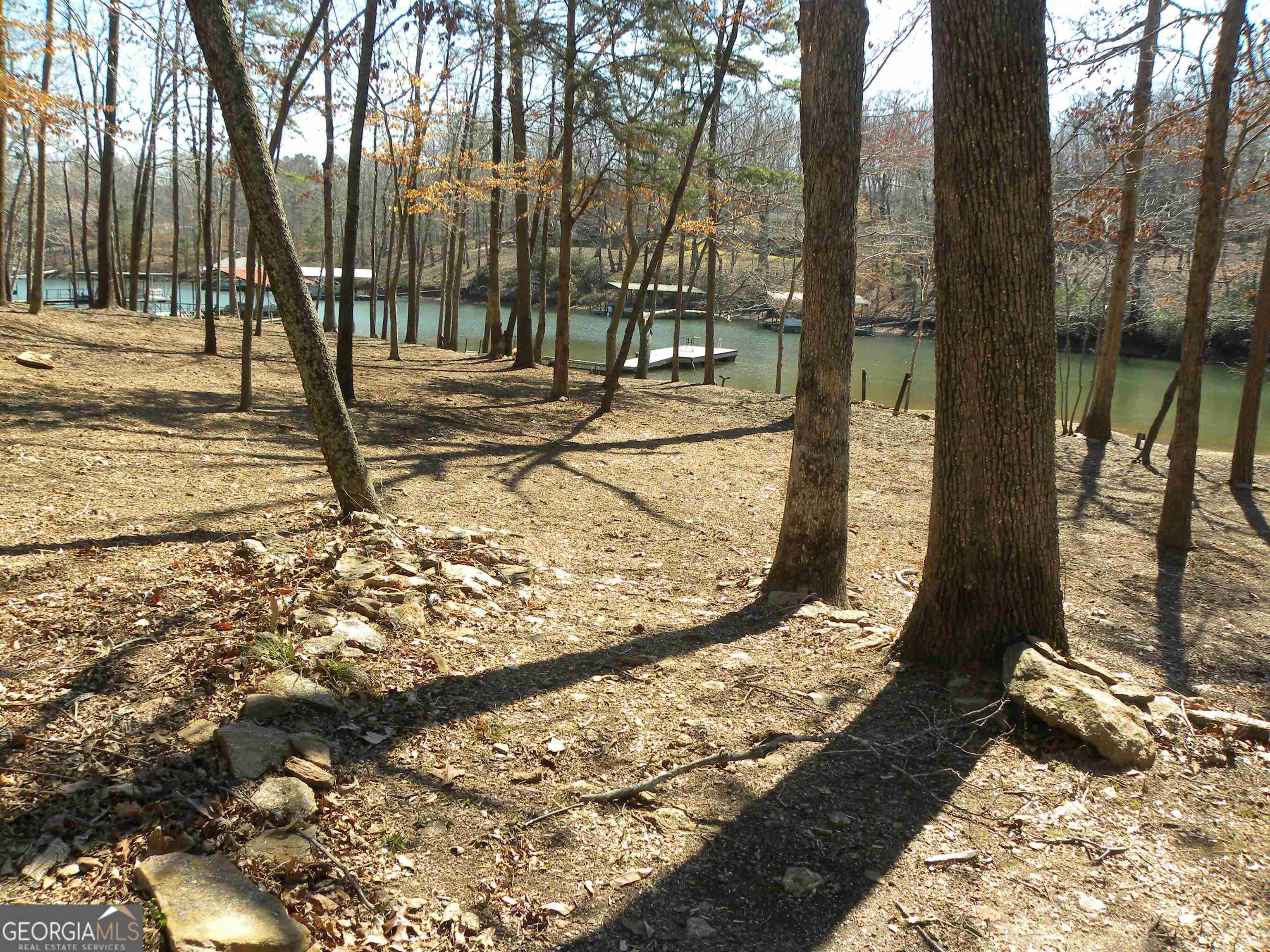 101 And 103 Joy Lane, Unit DUPLEX Hartwell, GA 30643 - Photo 7 of 24 a view of a backyard of the house