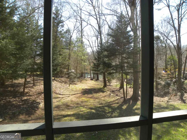 a view of a yard from a window