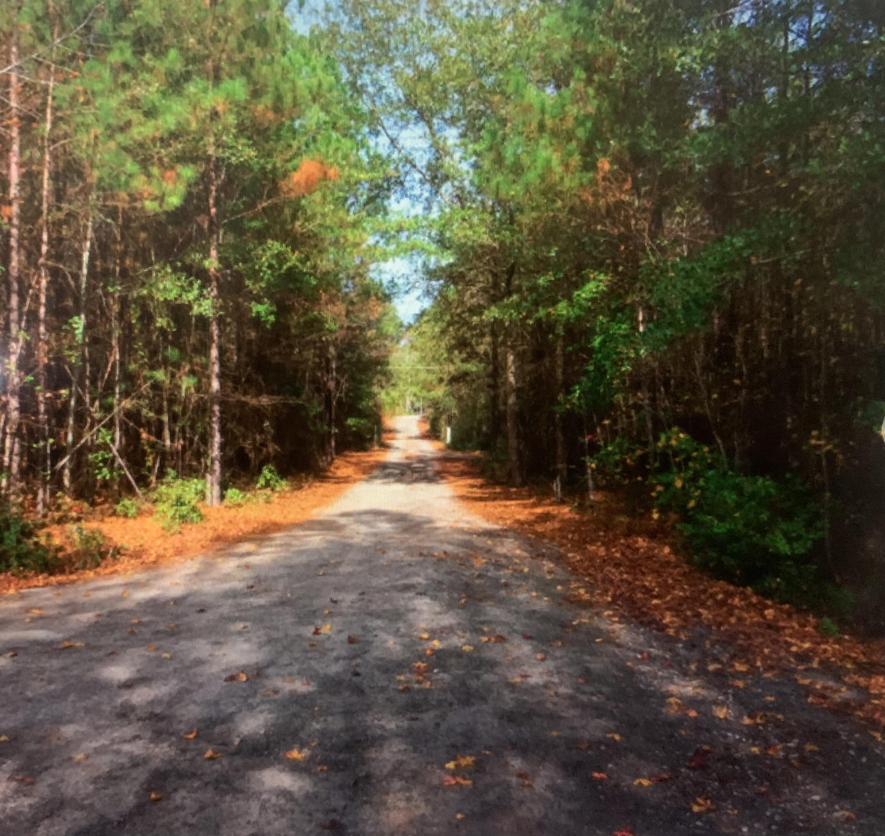 137 Chalk Bed Road Graniteville, SC 29829 - Photo 32 of 34