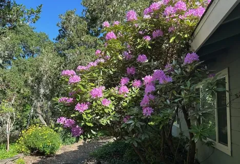 $1,890,000 | 25349 Flanders Drive, Carmel, CA 93923