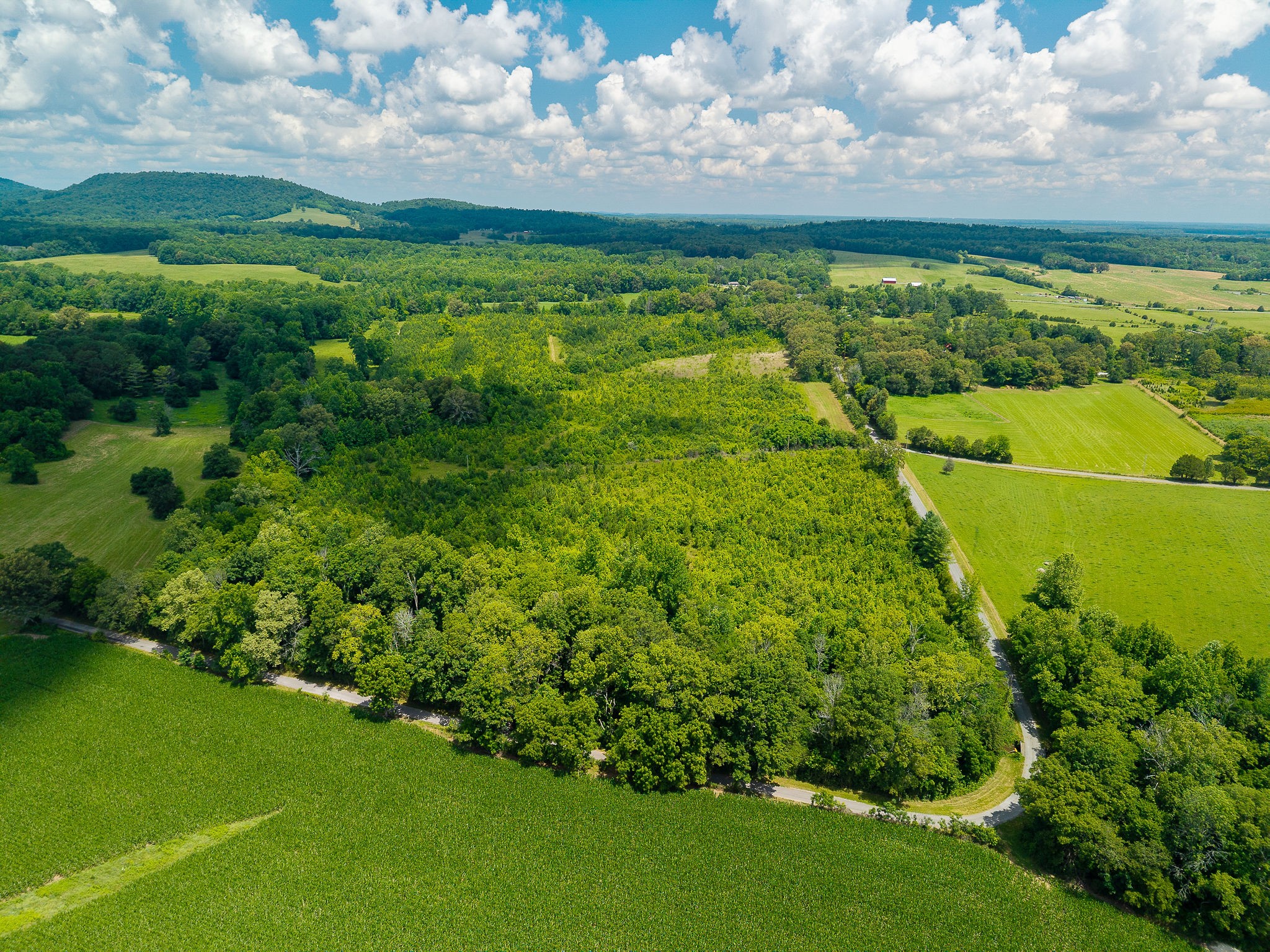 0 Gunter Road McMinnville, TN 37110 - Photo 14 of 24