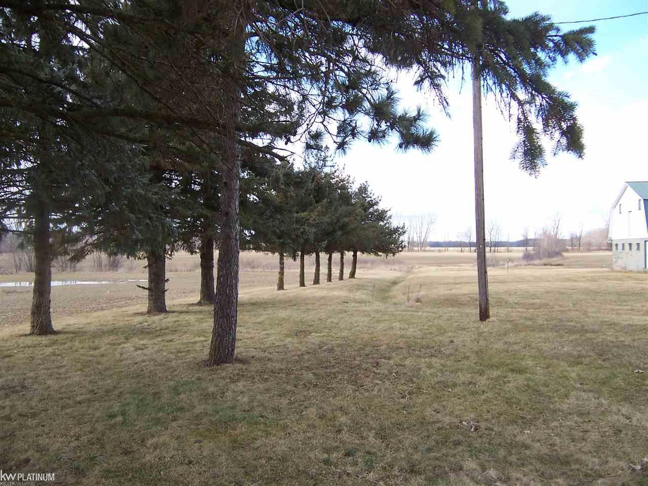 10652 Hill Road Memphis, MI 48041 - Photo 27 of 33