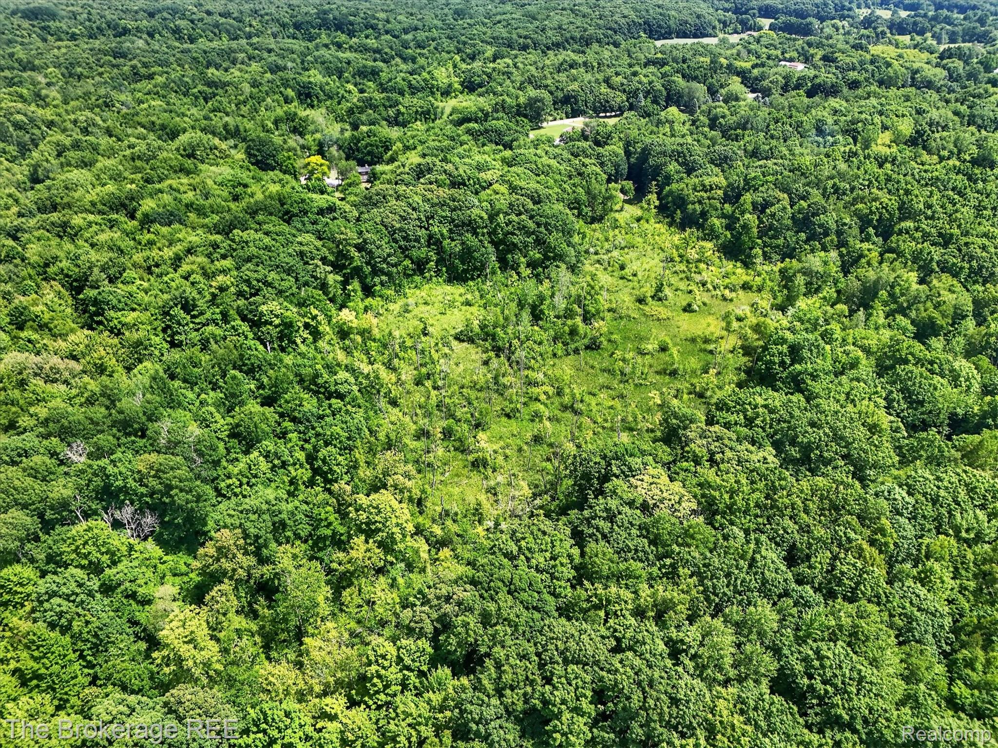 13269 North Genesee Road Clio, MI 48420 - Photo 60 of 67 Expansive wooded property featuring a central clearing, surrounded by dense green tree canopy