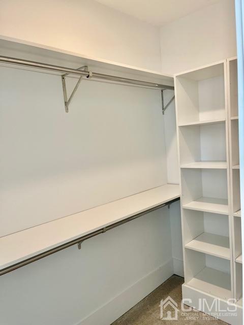 13 Emerald Road Kendall Park, NJ 08824 - Photo 18 of 24 a close view of closet