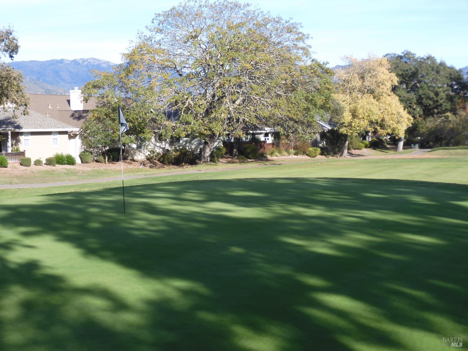 356 Singing Brook Circle Santa Rosa, CA 95409 - Photo 28 of 36 a garden view with trees