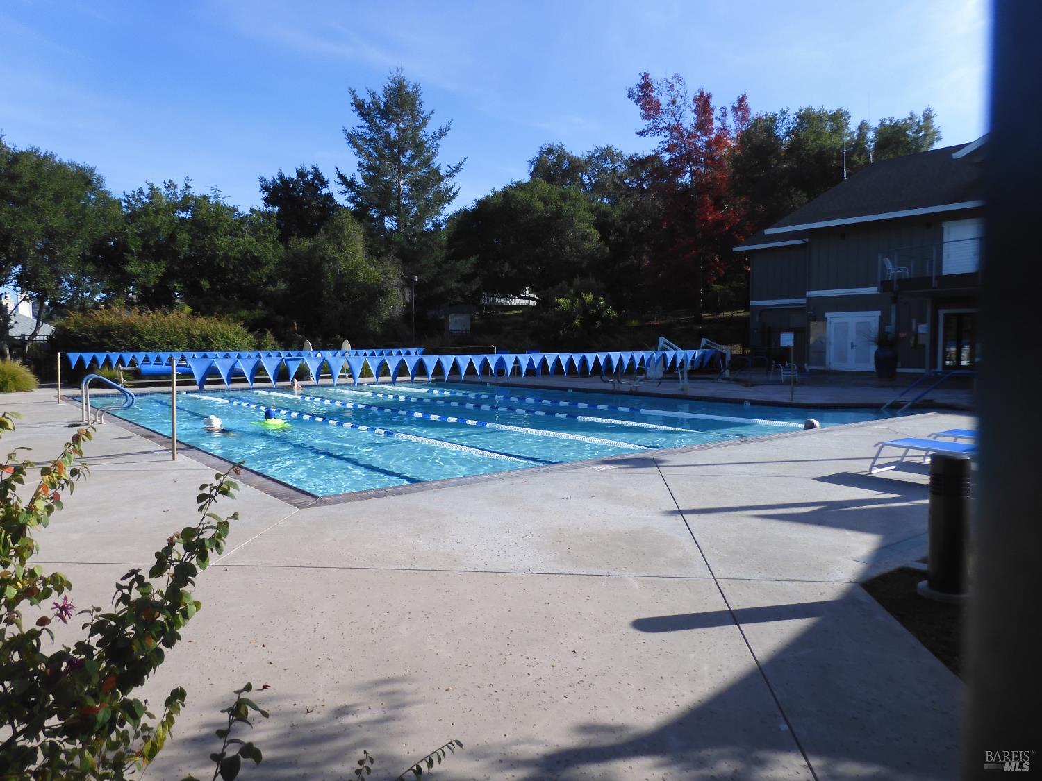 356 Singing Brook Circle Santa Rosa, CA 95409 - Photo 32 of 36 a view of swimming pool with seating space and trees in the background