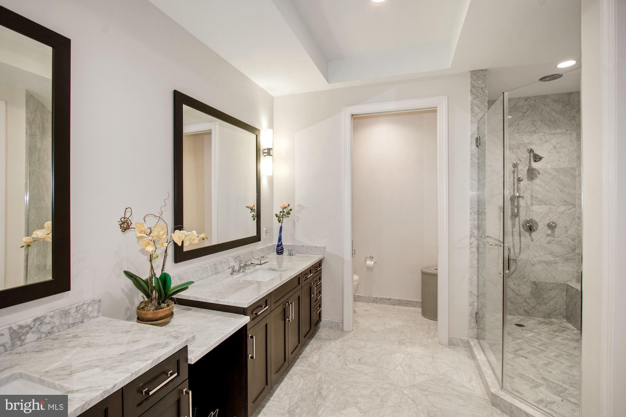 8111 River Road, Unit 153 Bethesda, MD 20817 - Photo 14 of 21 Marble Master Bathroom