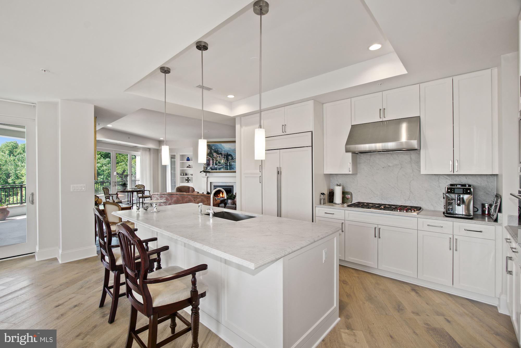 8111 River Road, Unit 153 Bethesda, MD 20817 - Photo 5 of 21 Gourmet Kitchen