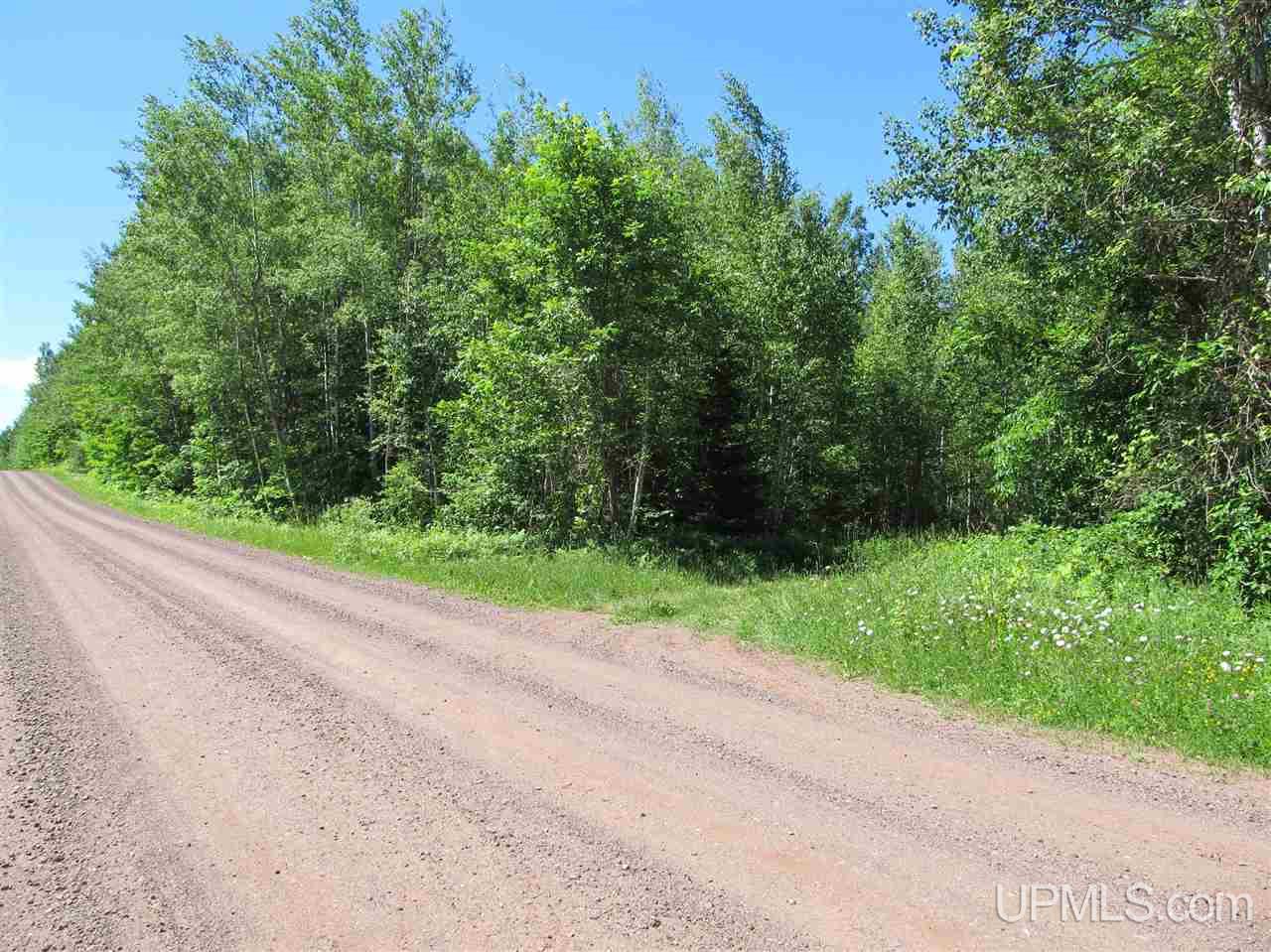 Tbd Lake Head Road Hurley, WI 54534 - Photo 22 of 25