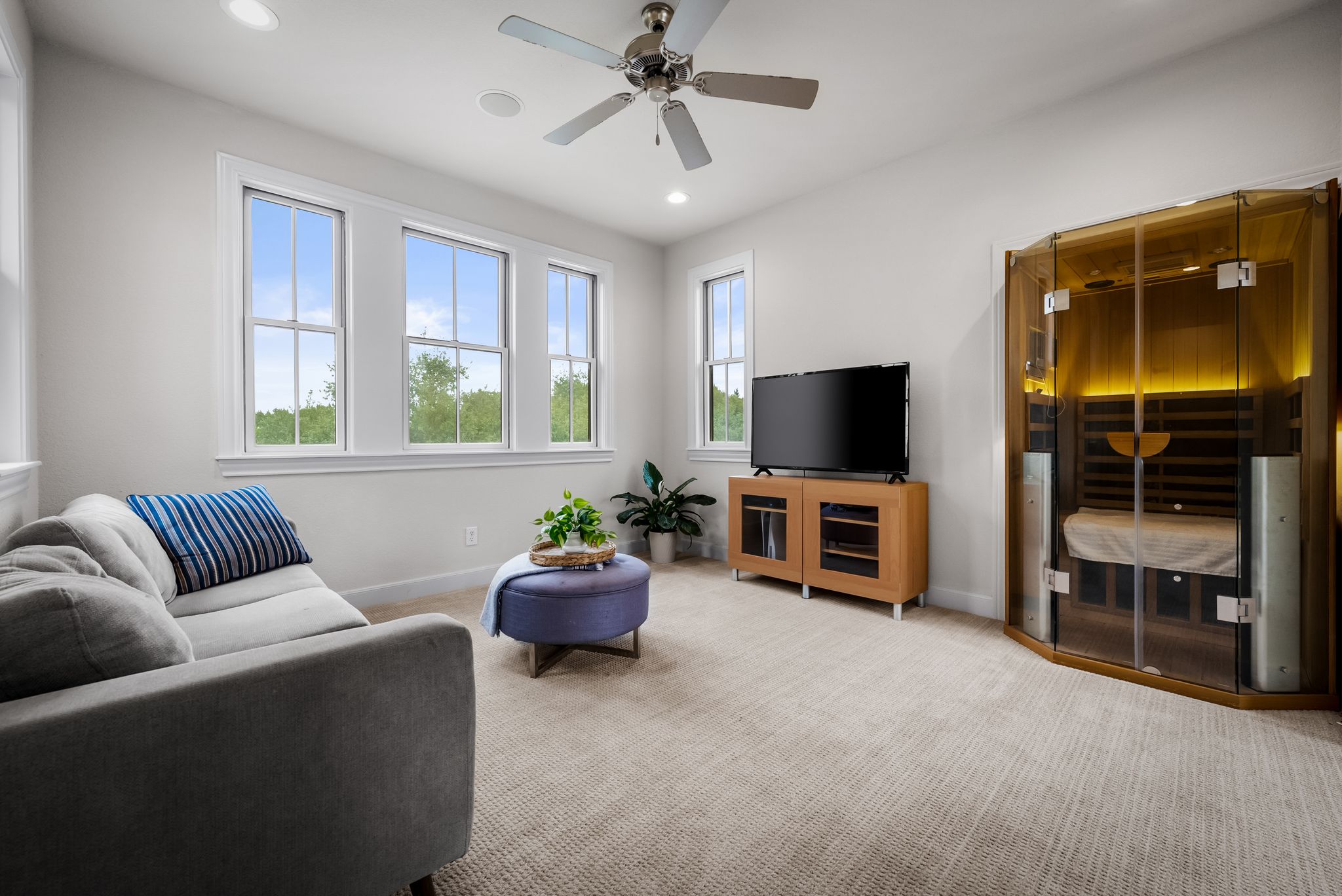 195 Desert Flower Spring Branch, TX 78070 - Photo 23 of 40 Bright room featuring multiple double-hung windows, a ceiling fan with integrated lighting, recessed lighting, and soft carpet flooring