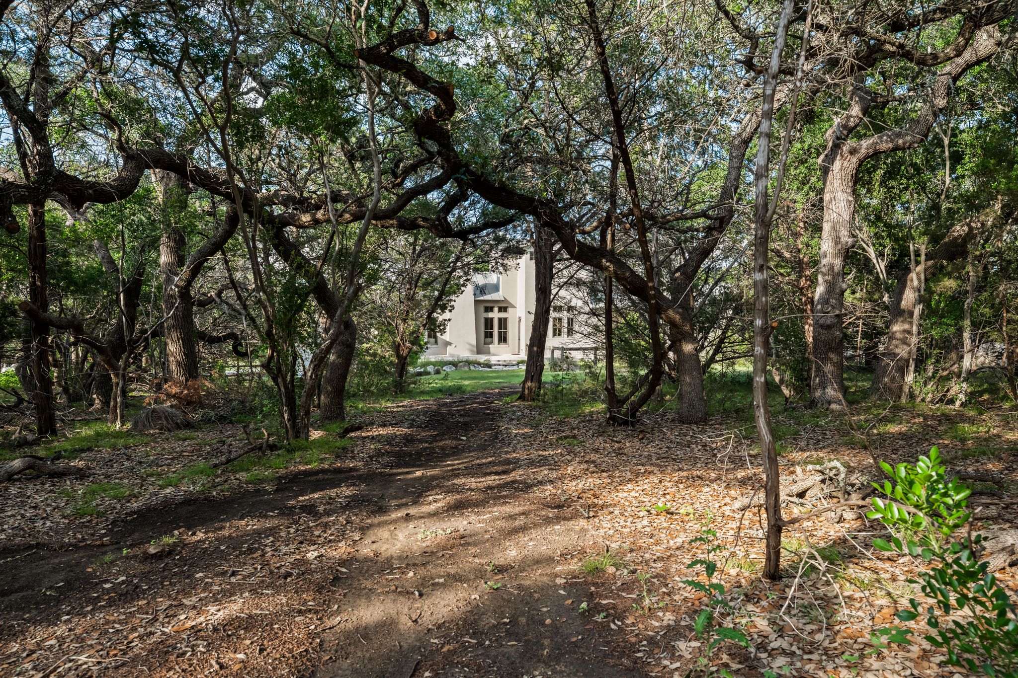 195 Desert Flower Spring Branch, TX 78070 - Photo 37 of 40 Wooded property with a natural dirt path leading to a stucco exterior residence