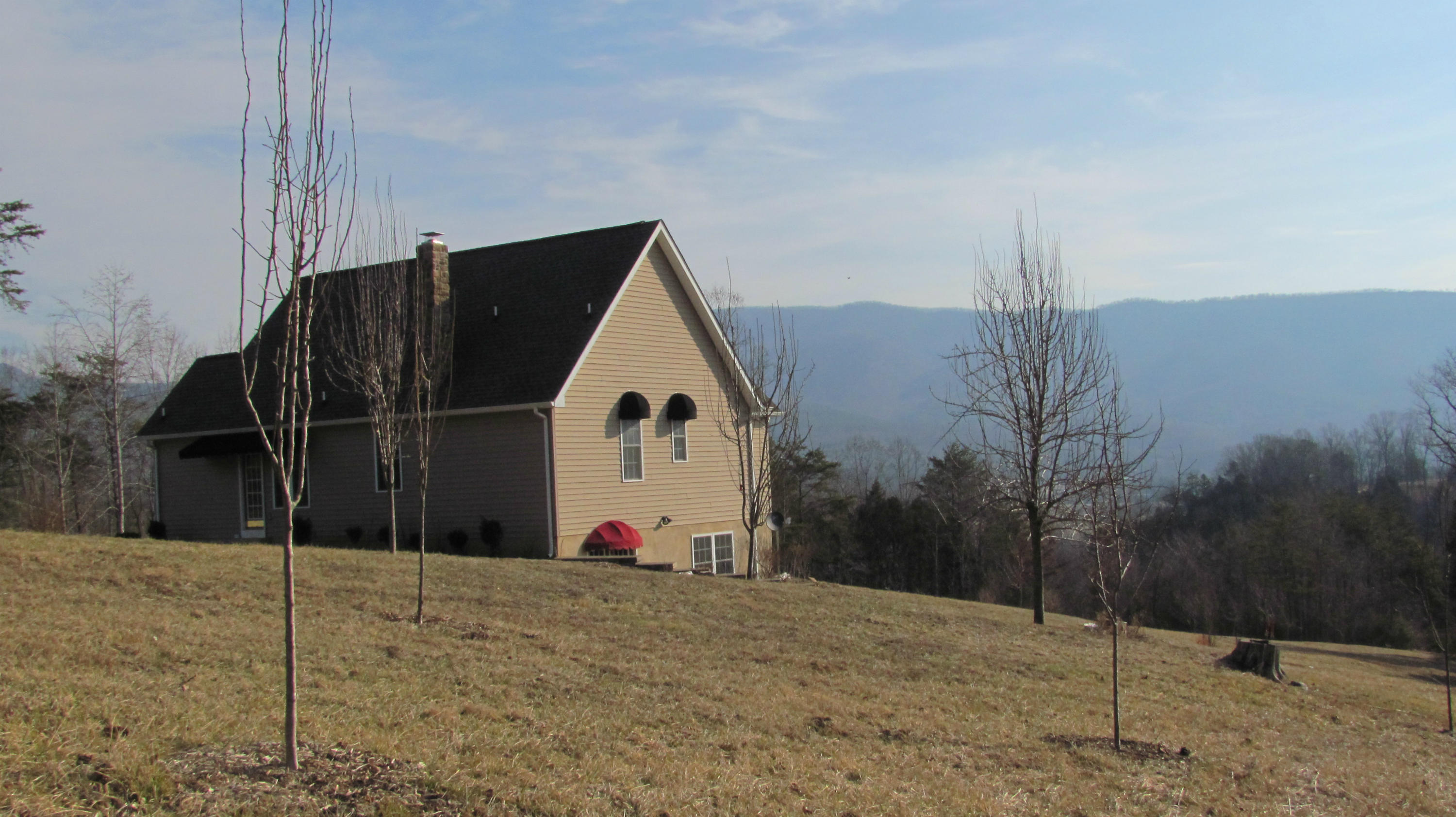 3465 Mt Joy Road Buchanan, VA 24066 - Photo 2 of 11 VIEWS OF THE BLUE RIDGE MOUNTAINS