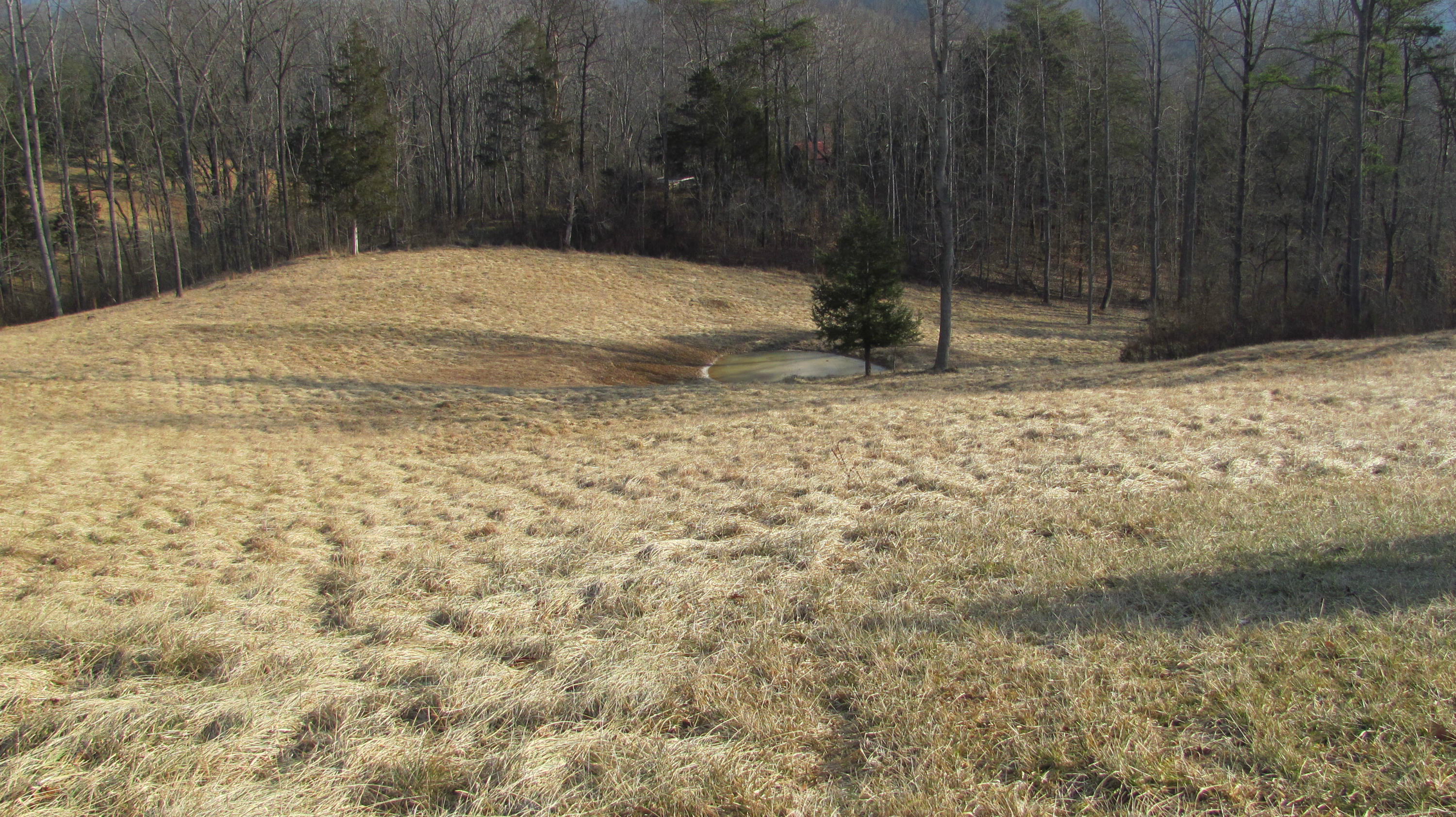 3465 Mt Joy Road Buchanan, VA 24066 - Photo 3 of 11 PASTURE FIELD AND POND
