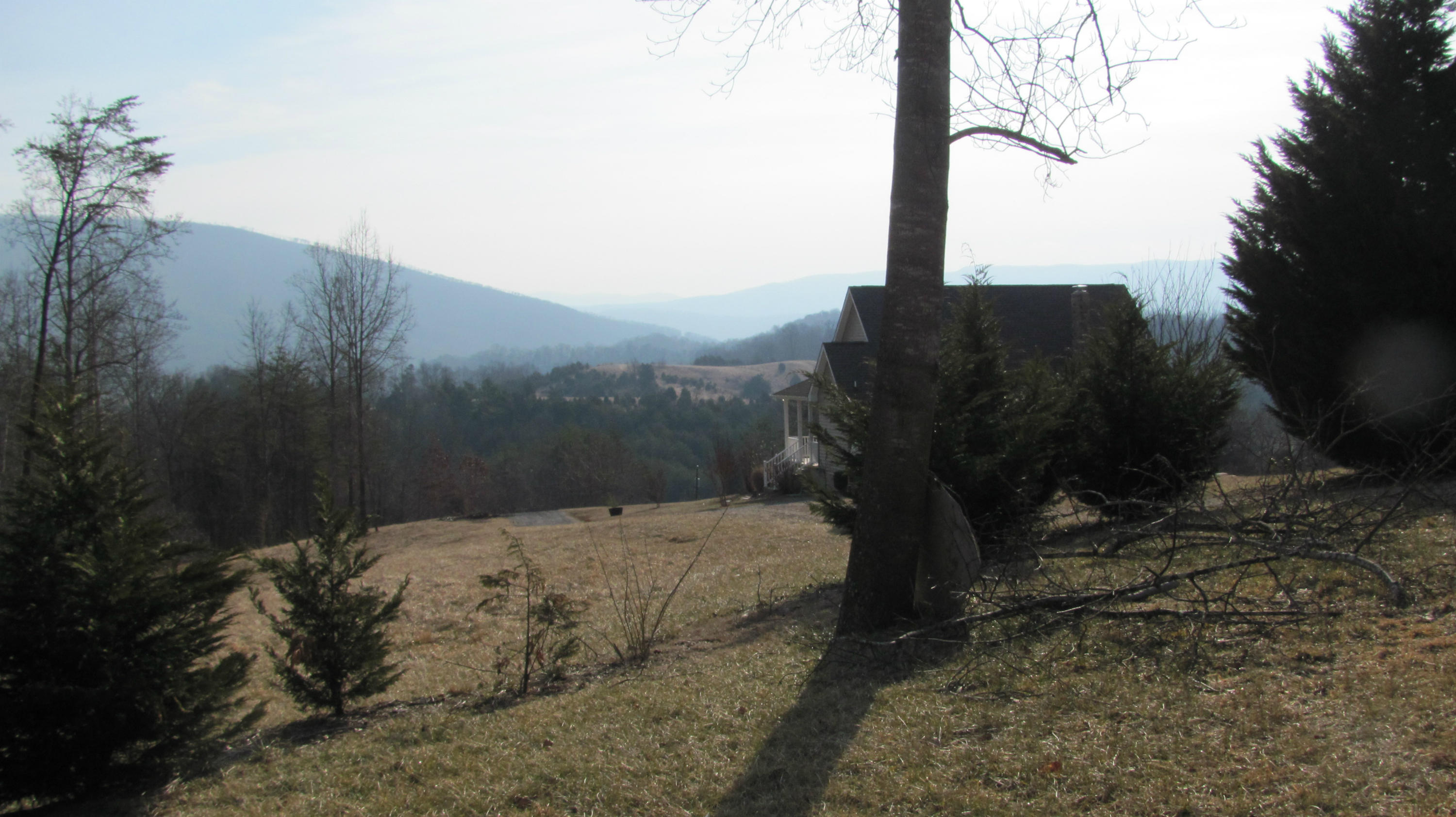 3465 Mt Joy Road Buchanan, VA 24066 - Photo 4 of 11 VIEWS