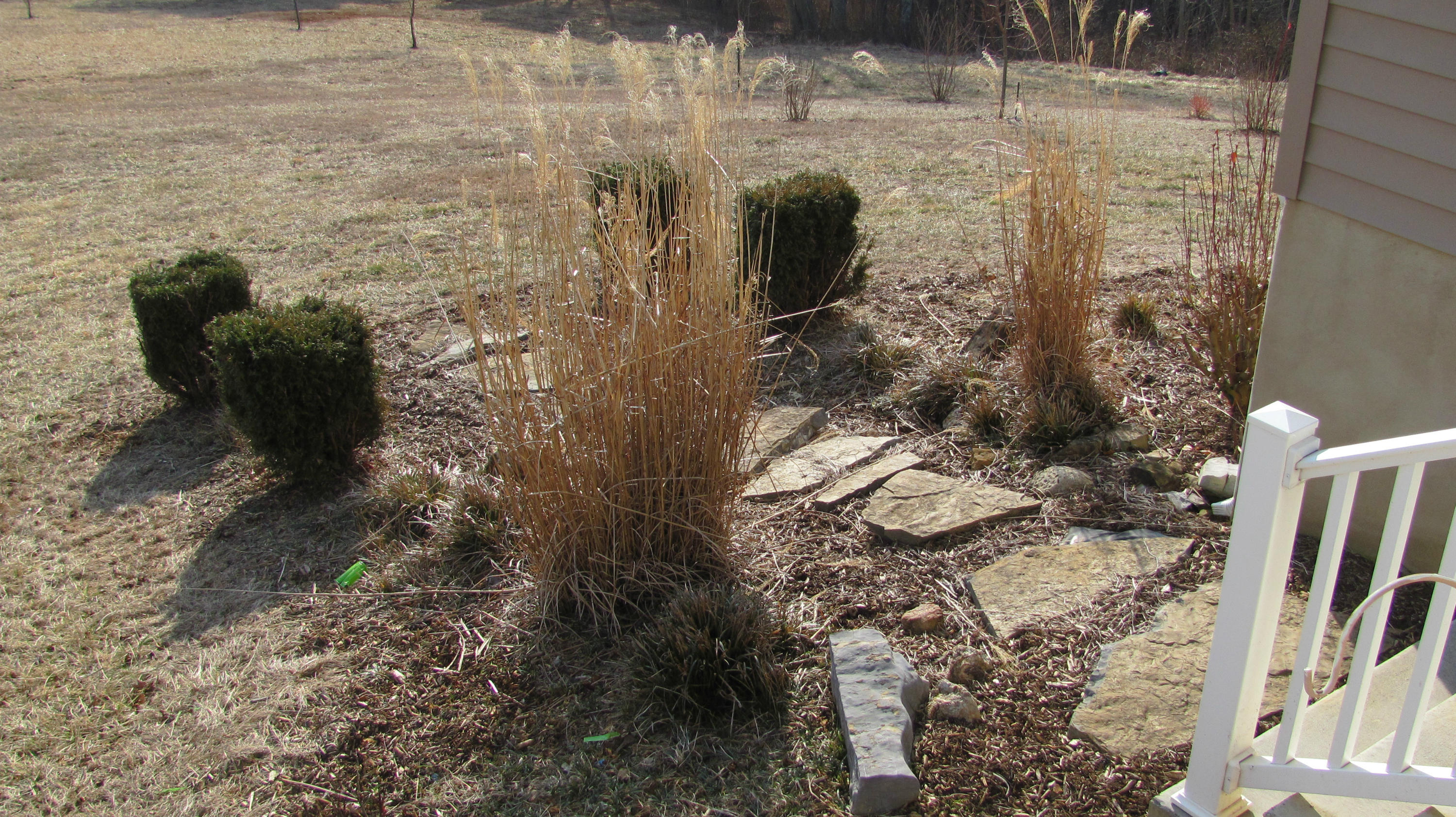 3465 Mt Joy Road Buchanan, VA 24066 - Photo 9 of 11 LANDSCAPING