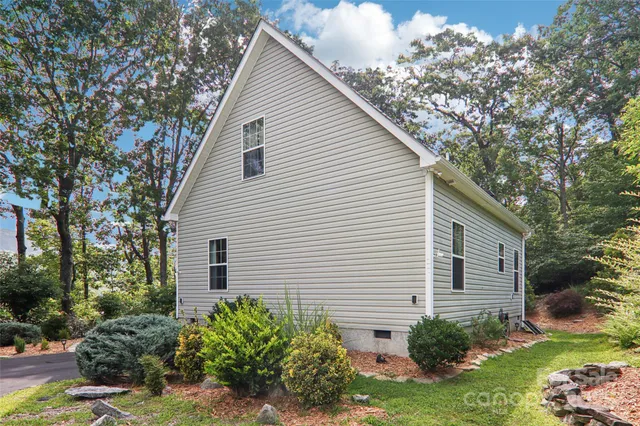 a view of a lush green forest