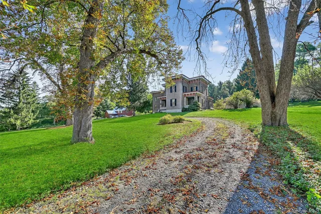 a view of a big yard next to a large tree