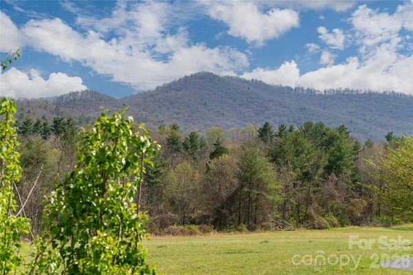$549,000 | 35 Alice Clement Lane, Asheville, NC 28803