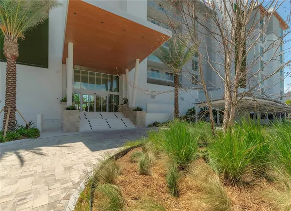 a view of a backyard with plants