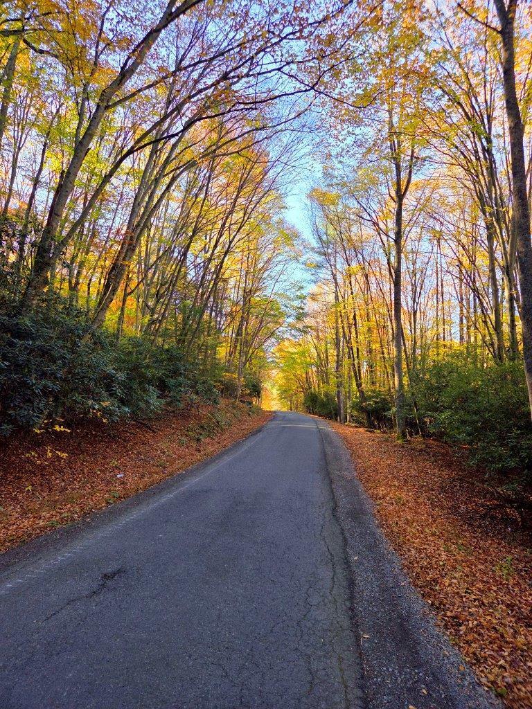 0 Old Pluto Road Shady Spring, WV 25918 - Photo 2 of 33