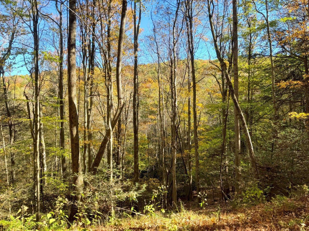 0 Old Pluto Road Shady Spring, WV 25918 - Photo 31 of 33