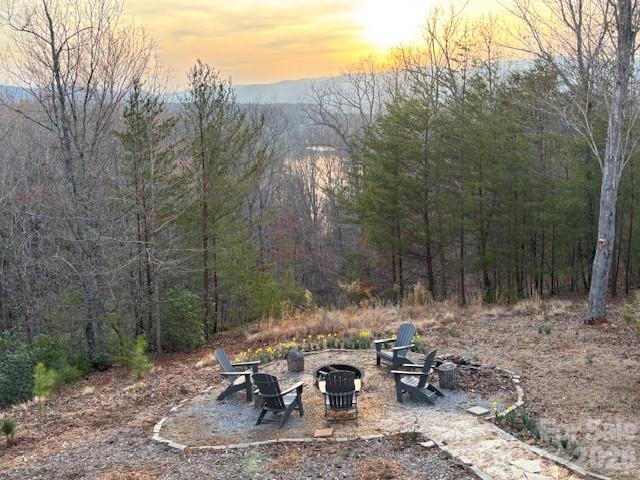 631 Mountain Parkway Mill Spring, NC 28756 - Photo 34 of 44