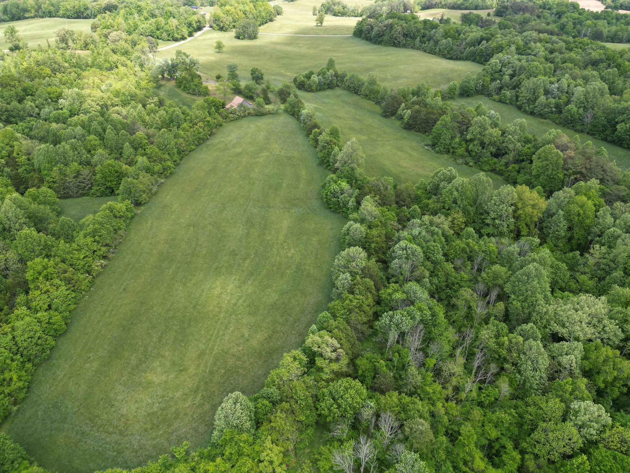 335 Nelson Cemetery Road Monroe, TN 38573 - Photo 24 of 81 Gallery Image 24