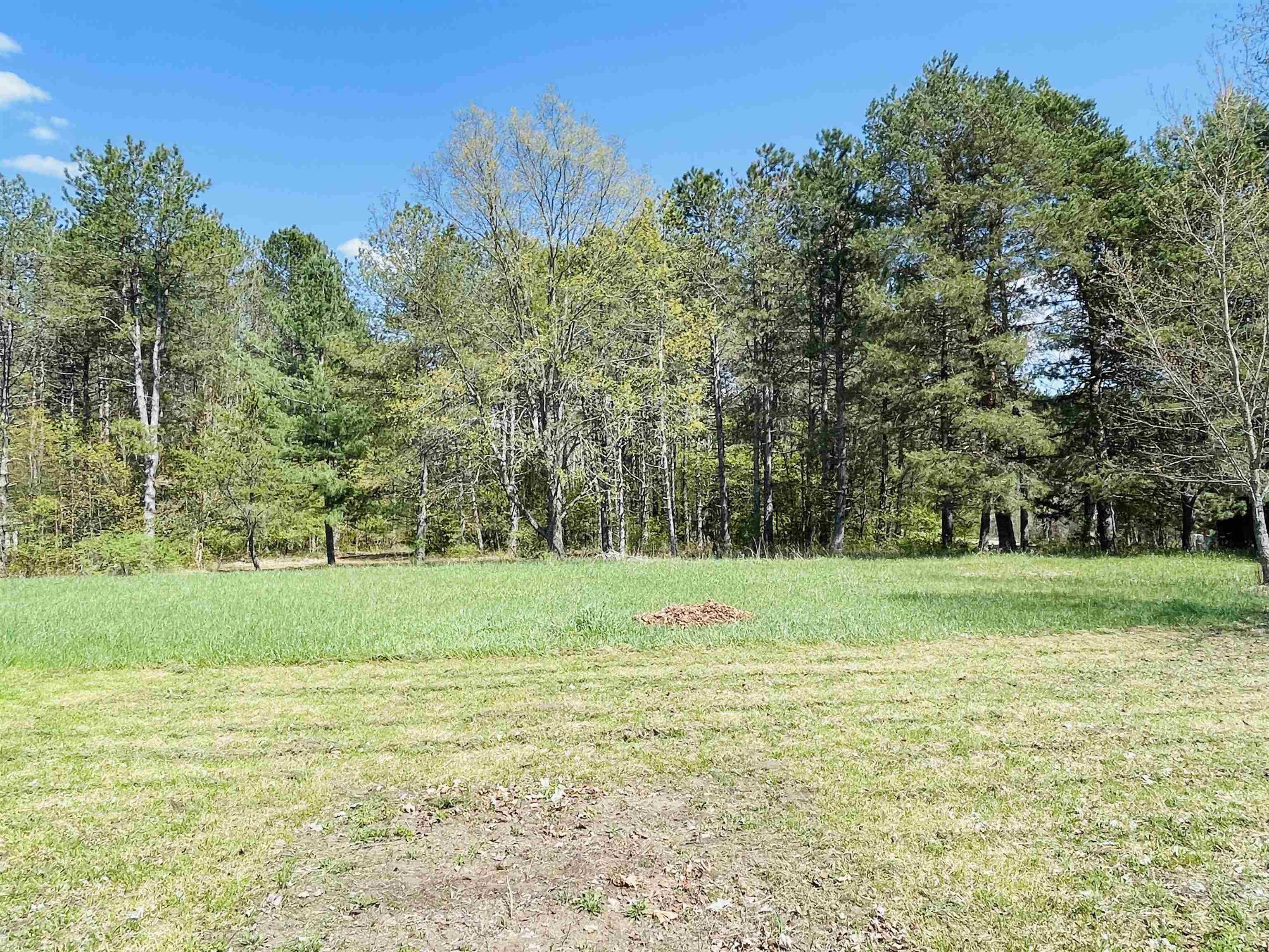 4505 East 12 1/2 Road Manton, MI 49663 - Photo 21 of 22 Gallery Image 21
