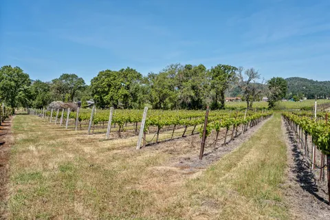 $1,080,000 | 100 La Franchi Road, Hopland, CA 95449