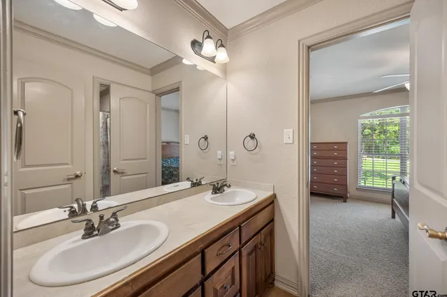a bathroom with a double vanity sink a mirror and a shower